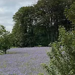 Charmante Normannische Les Chataigniers 3 By Interhome * Bretteville-du-Grand Caux