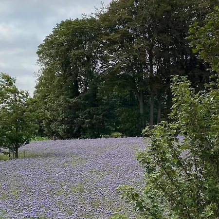 Charmante Normannische Les Chataigniers 3 By Interhome * Bretteville-du-Grand Caux