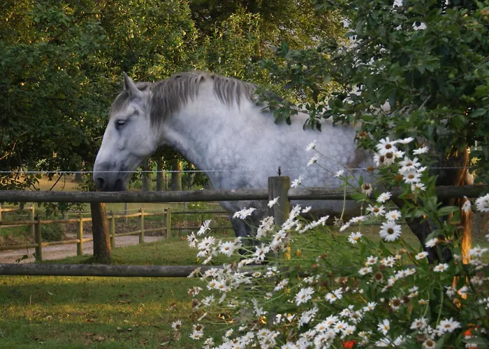Charmante Normannische Les Chataigniers 3 By Interhome *