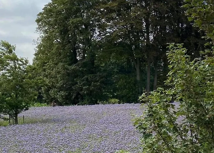 Charmante Normannische Les Chataigniers 3 By Interhome * Bretteville-du-Grand Caux