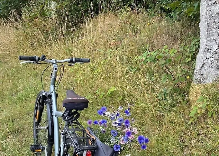 Dom wakacyjny Charmante Normannische Les Chataigniers 3 By Interhome Bretteville-du-Grand Caux