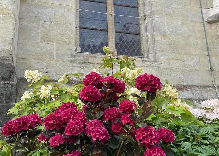 Dom wakacyjny Charmante Normannische Les Chataigniers 3 By Interhome